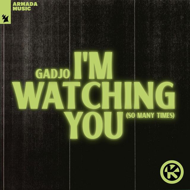 Album cover art for I'm Watching You