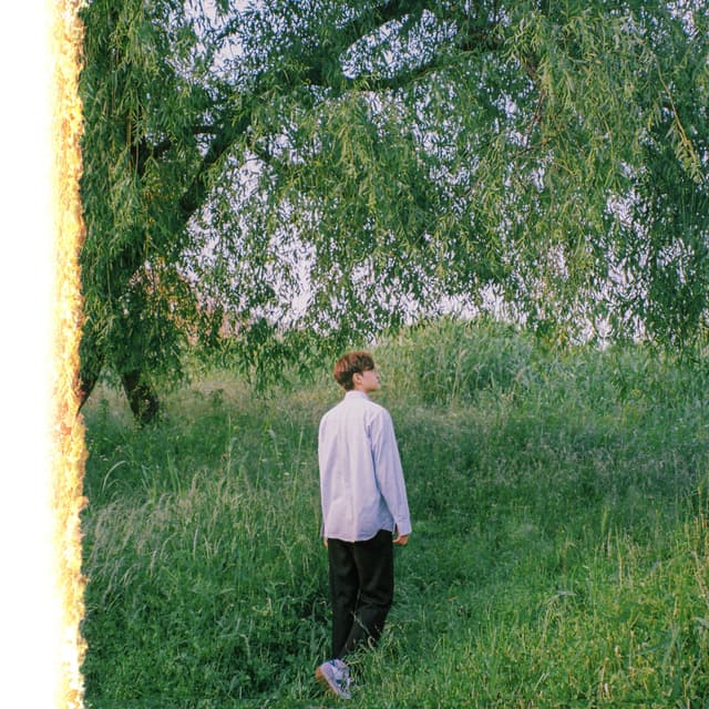 Album cover art for pisache