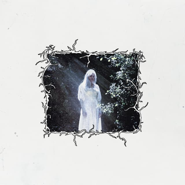 Album cover art for author's note
