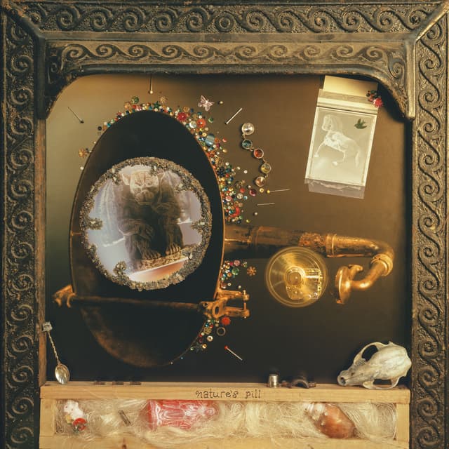 Album cover art for Nature's Pill