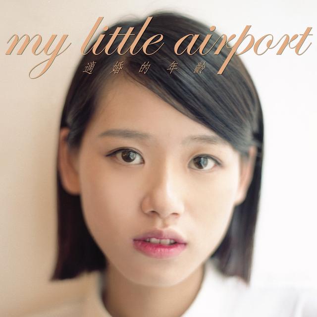Album cover art for 適婚的年齡