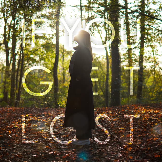 Album cover art for If You Get Lost