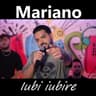 Iubi Iubire [Live]