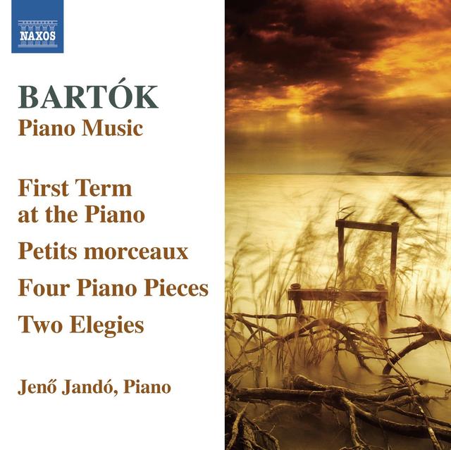 Album cover art for Bartók: Piano Music - 6
