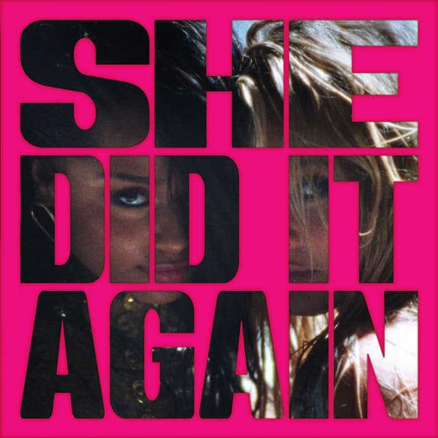 Album cover art for SHE DID IT AGAIN