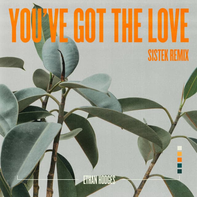 Album cover art for You've Got The Love