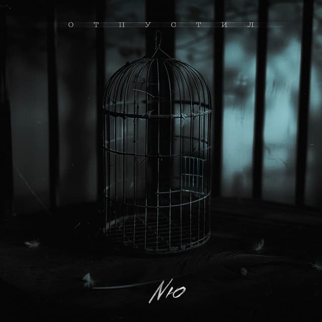 Album cover art for Отпустил