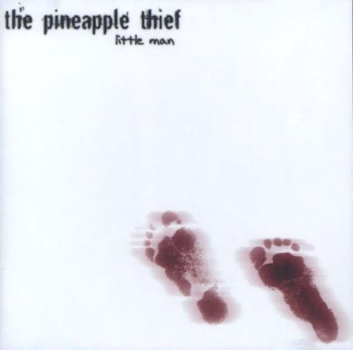 Album cover art for Little Man