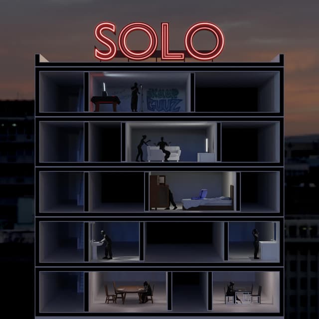 Album cover art for SOLO