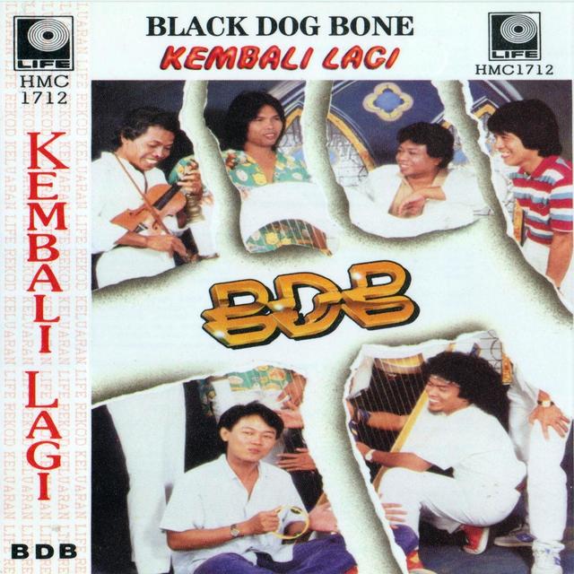 Album cover art for Kembali Lagi
