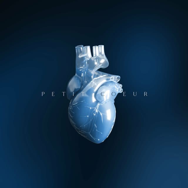 Album cover art for Petit coeur