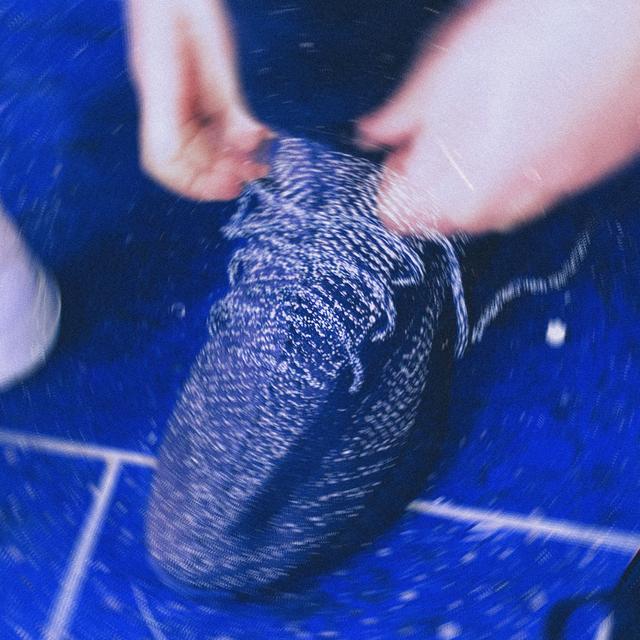 Album cover art for Paradoks