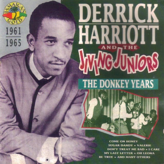Album cover art for The Donkey Years 1961-1965