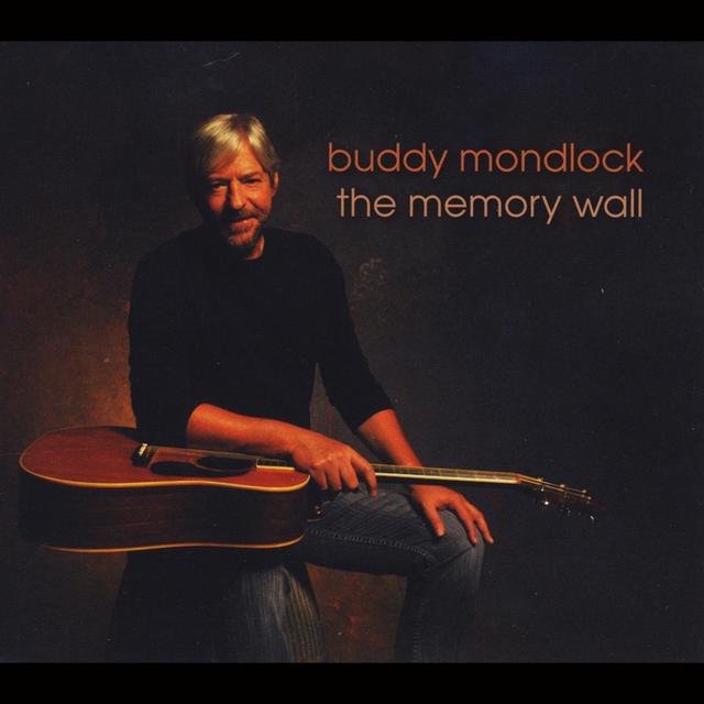 Album cover art for The Memory Wall