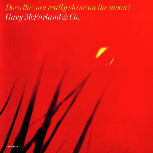 Album cover art for Does The Sun Really Shine On The Moon