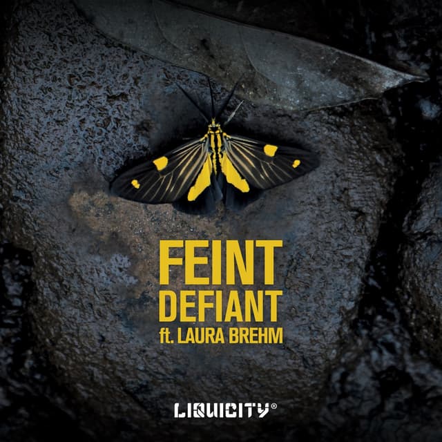 Album cover art for Defiant