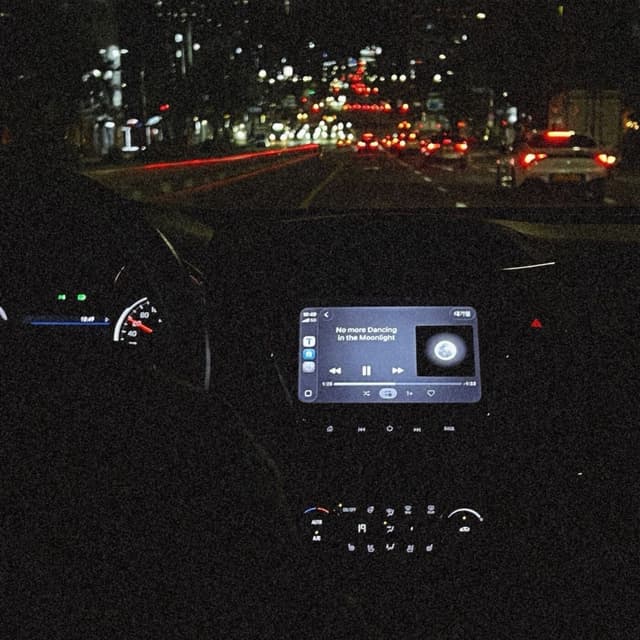 Album cover art for No more dancing in the moonlight