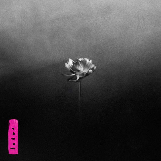 Album cover art for Lotus