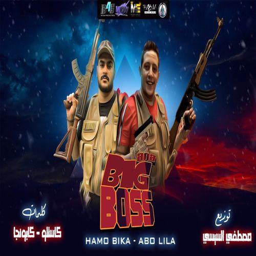 Album cover art for Ana Big Boss