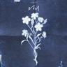 정리 Empty (Empty)