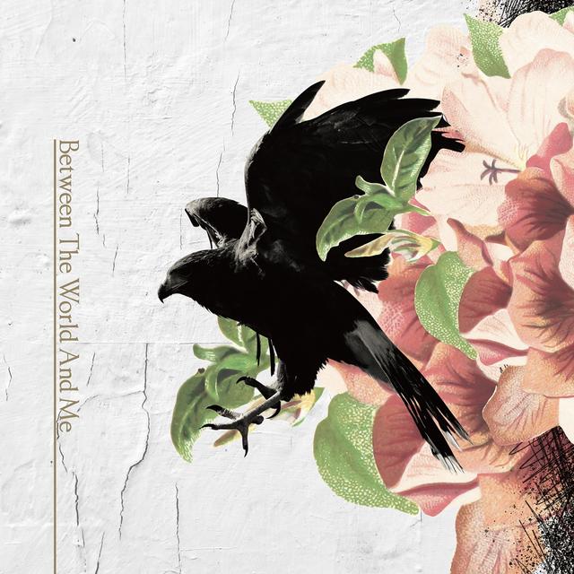 Album cover art for Between the World and Me