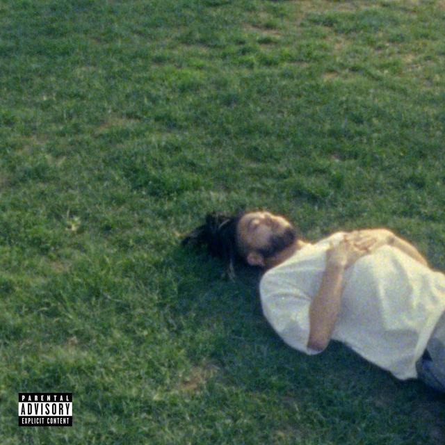 Album cover art for Human Tree
