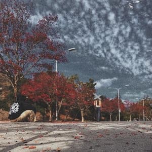 Album cover art for a one-sided love story
