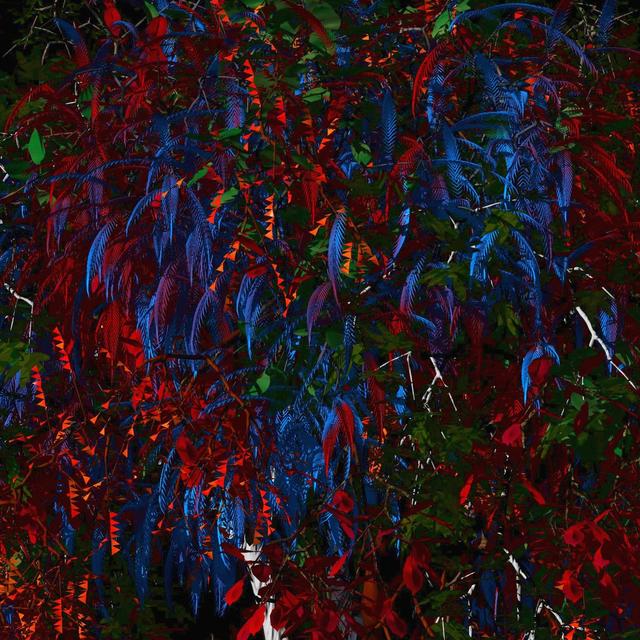 Album cover art for Bijoux