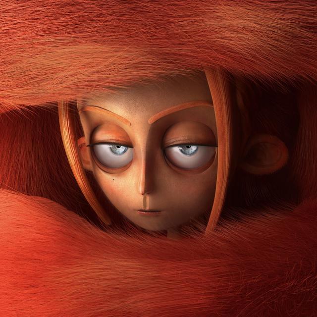 Album cover art for Where Does Sasquatch Live?