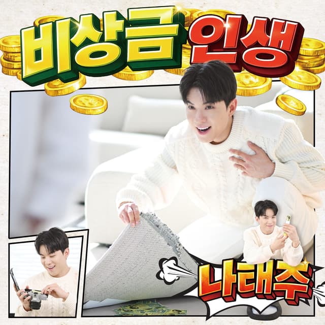 Album cover art for 비상금 인생