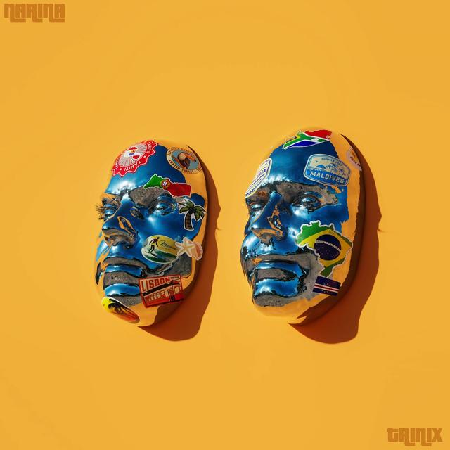 Album cover art for Narina