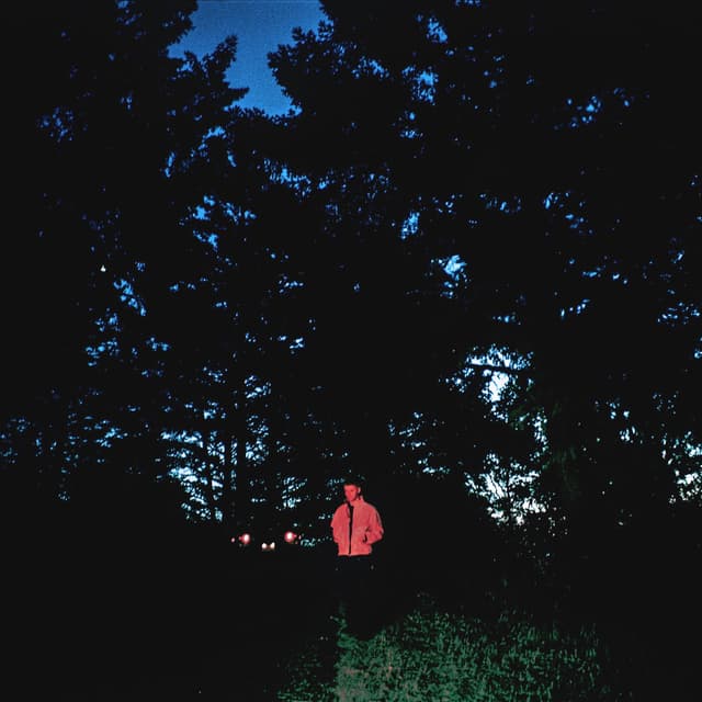 Album cover art for ANYWHERE HERE IS PERFECT