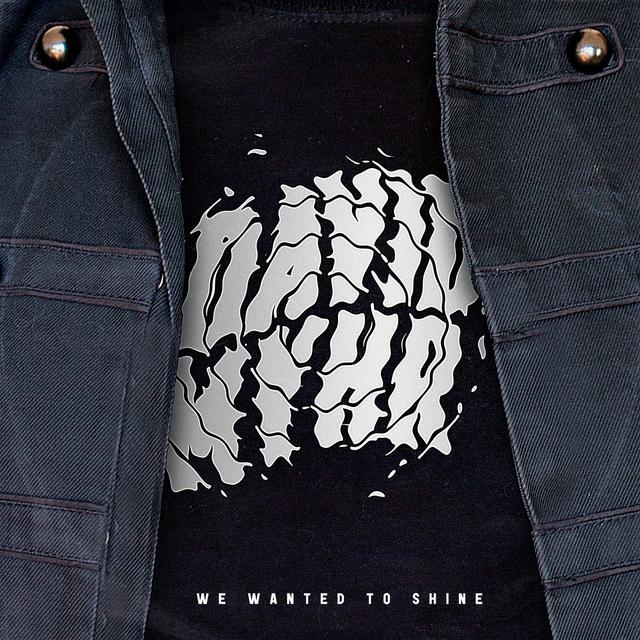 Album cover art for We Wanted to Shine
