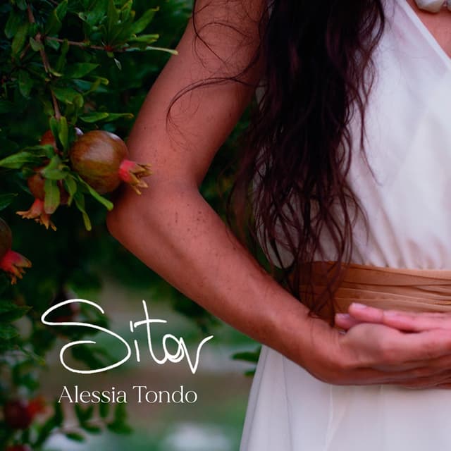 Album cover art for Sita
