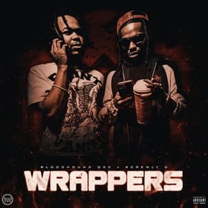 Album cover art for Wrappers