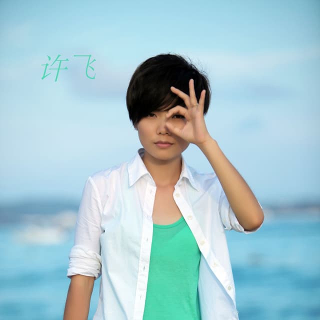 Album cover art for 许飞