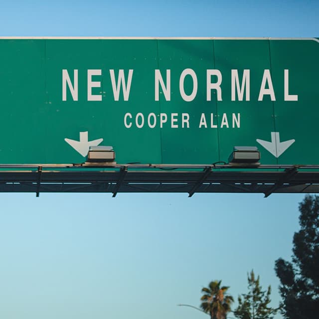 Album cover art for New Normal
