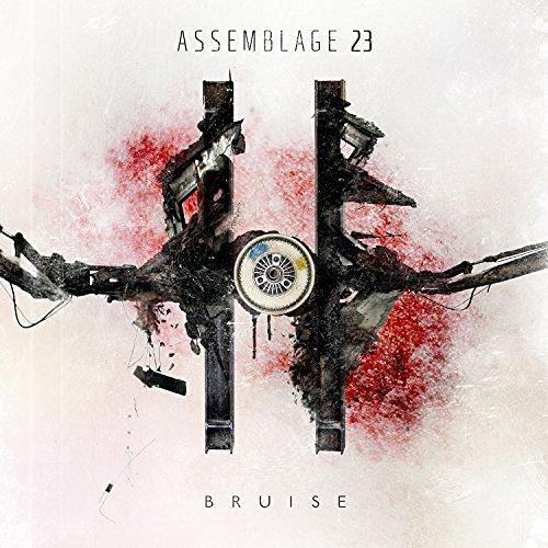 Album cover art for Bruise