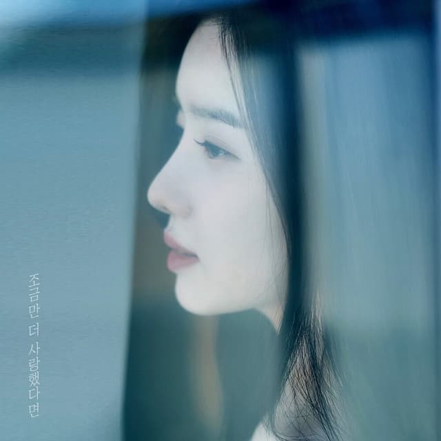 Album cover art for 조금만 더 사랑했다면