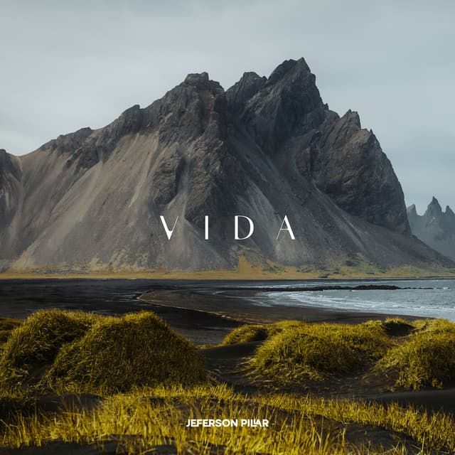 Album cover art for Vida