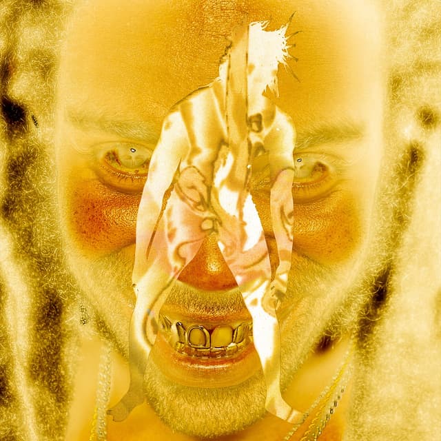 Album cover art for SKIN
