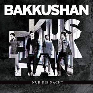 Album cover art for Nur Die Nacht