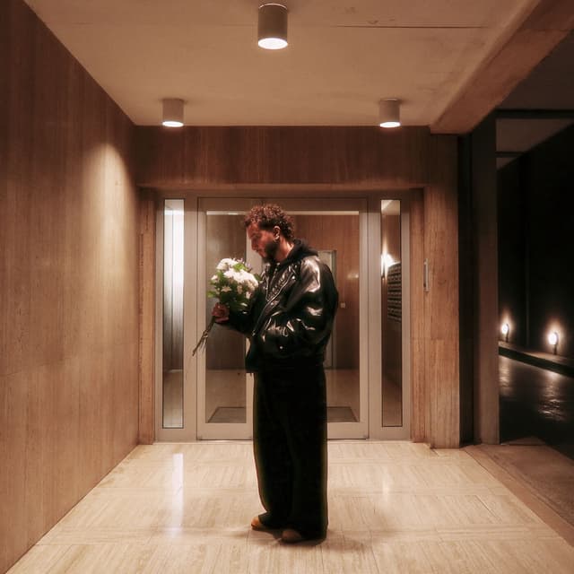 Album cover art for Piloti