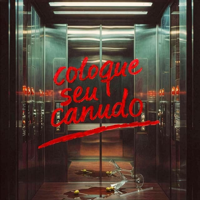Album cover art for Coloque Seu Canudo