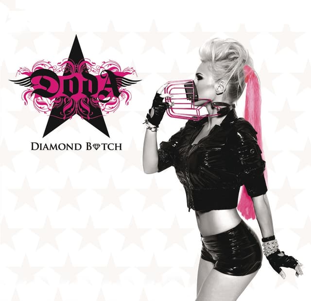 Album cover art for Diamond Bitch
