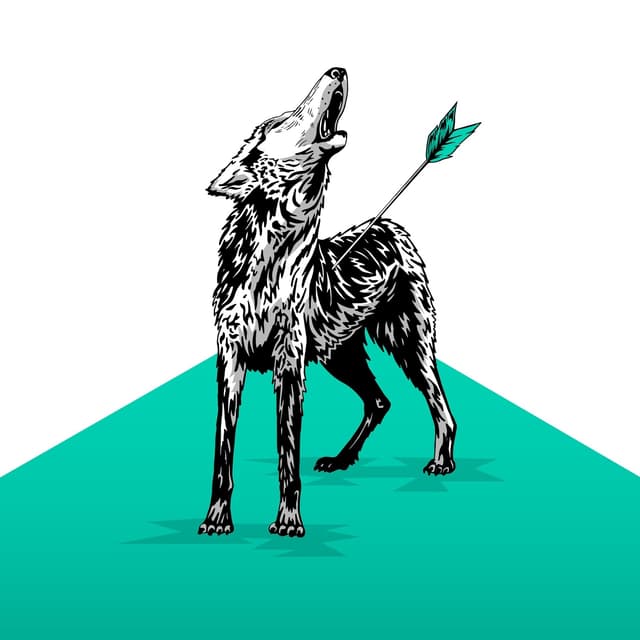 Album cover art for Lone Wolf
