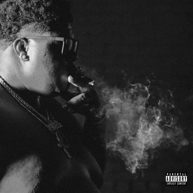 Album cover art for Big Stepper