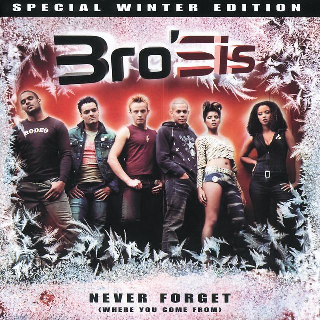 Album cover art for Never Forget (Where You Come From)