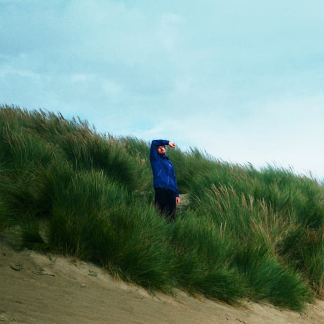 Album cover art for Coming Back