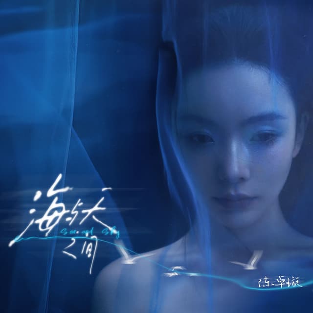 Album cover art for 海与天之间